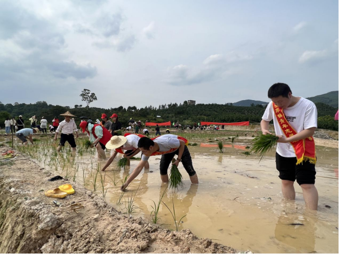 福建平和：守粮护河两不误 青春力量来助力(1)272.png