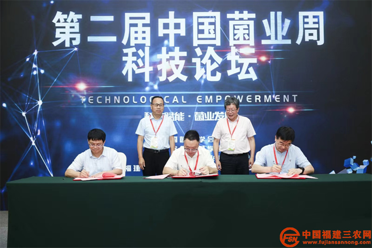 图片10.png